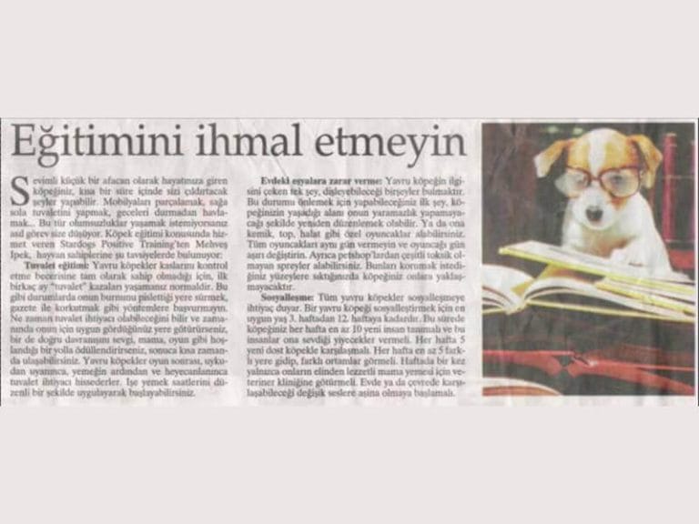 Sabah Gazetesi, Cumartesi Eki