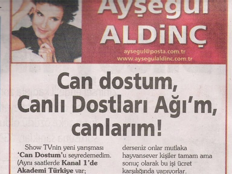 Posta Gazetesi, Ayşegül Aldinç