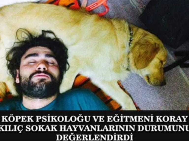 Köpek Psikoloğu Koray Kılıç Haberi