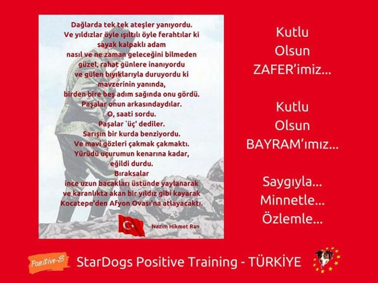 StarDogs 30 Ağustos