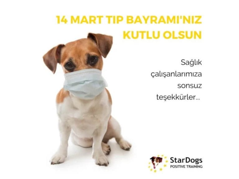 14 Mart Tıp Bayramı Kutlu Olsun