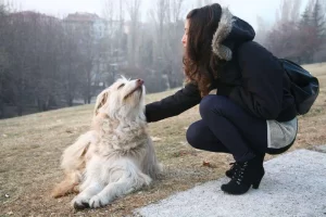 Sevgi Pınar Özen Güngör - StarDogs