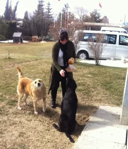 Canan Soysal - StarDogs