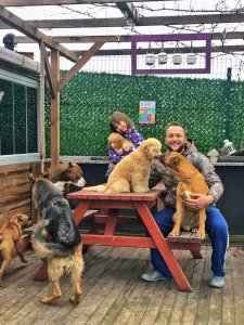 Cengiz Yeşil - StarDogs