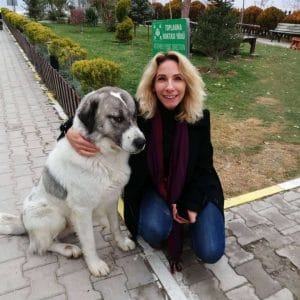 Ceren Yiğit - StarDogs
