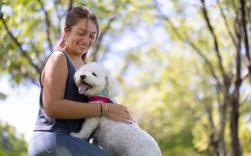 Köpek Lideri Eğitim Programı
