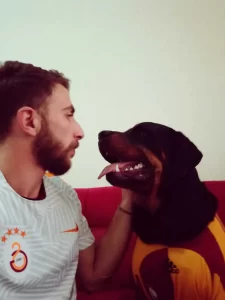 Serhat Duykulu - StarDogs