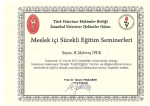 StarDogs Türkiye Referanslar