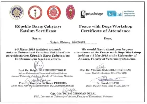 StarDogs Türkiye Referanslar