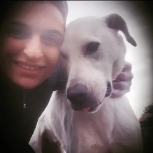 Sevim Şen - StarDogs