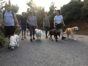 Zeynep Erdemoğlu - StarDogs