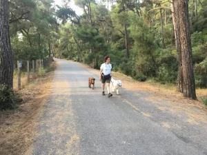 Zeynep Erdemoğlu - StarDogs