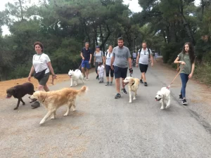 Zeynep Erdemoğlu - StarDogs
