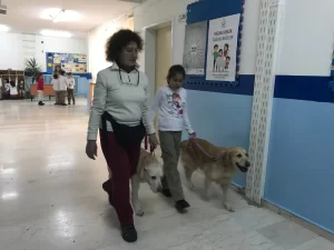 Zeynep Erdemoğlu - StarDogs