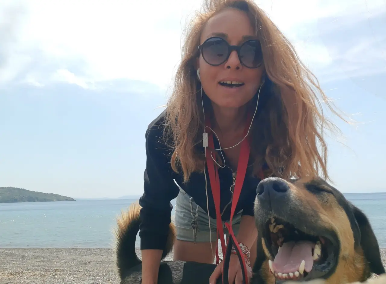 Travmalı Köpekleri Sahiplenmek - StarDogs