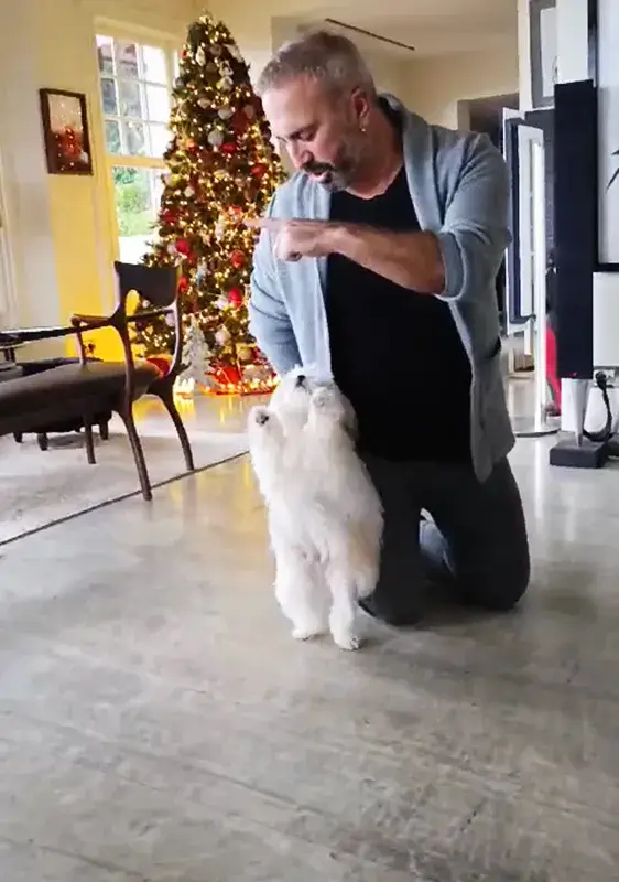 Mehmet Öcalan - StarDogs