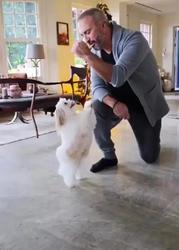 Mehmet Öcalan - StarDogs