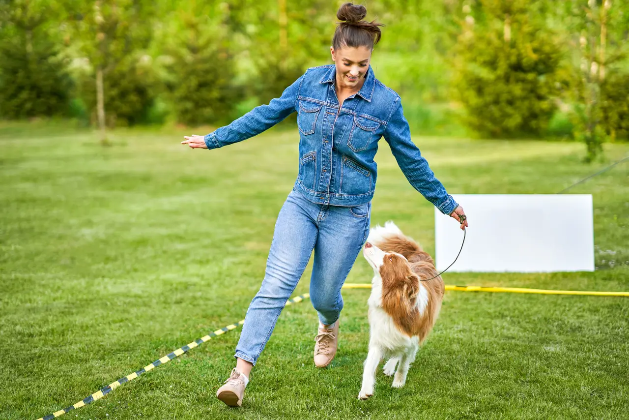 Türkiye’de Köpek Eğitmeni Olmak