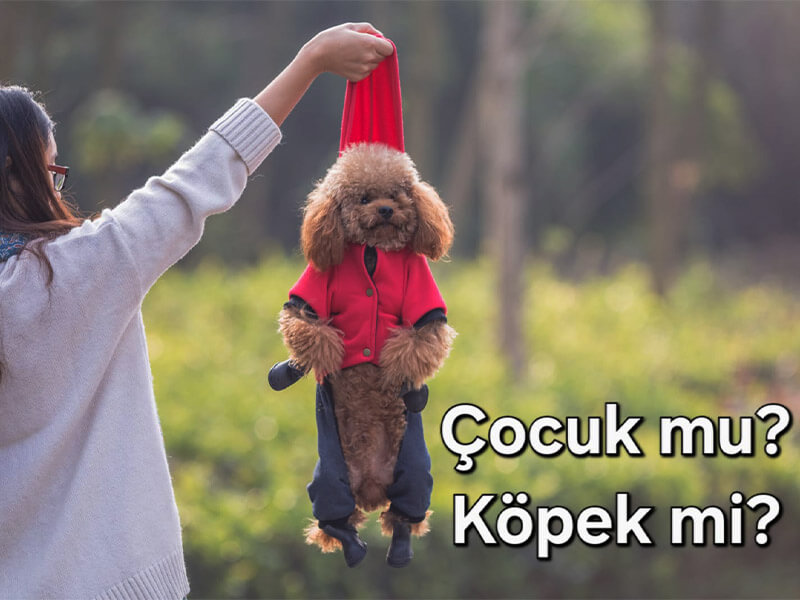 Çocuk mu Köpek mi?