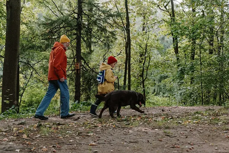 Köpek Sahipliğinin Sağlığa Katkıları