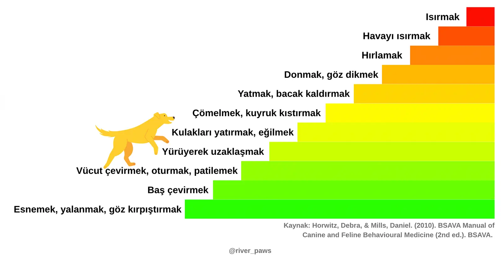 Köpeklerde Agresyon Basamakları