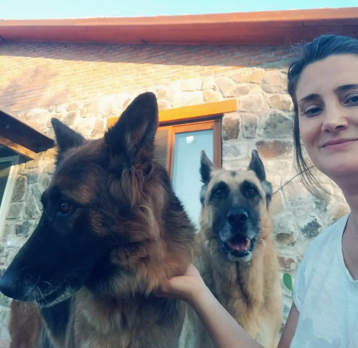 Zeynep Kaya Gül - StarDogs