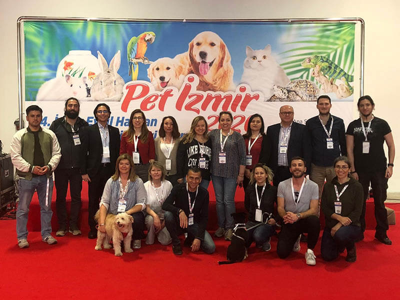 Pozitif Köpek Eğitimi